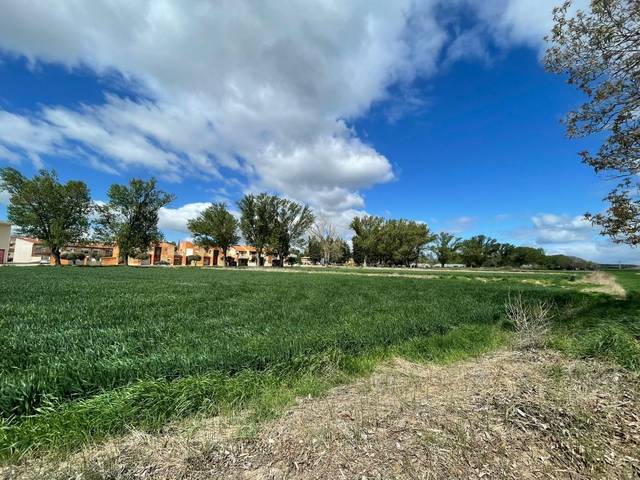 Terreno residencial en Venta en Ejea de los Caballeros