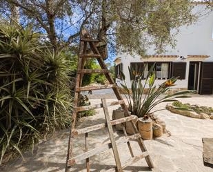 Garden of Single-family semi-detached for sale in Santanyí