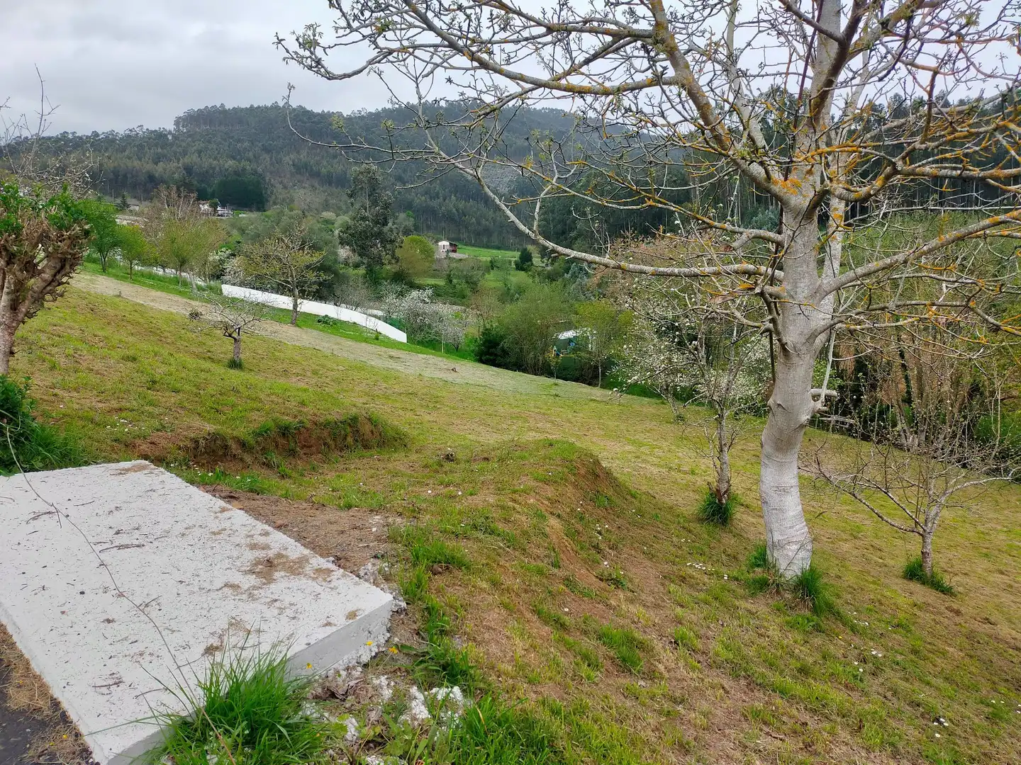 Casa rústica amb jardí en venda a Pravia, imagen 58