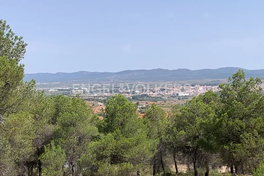 Lands and plots for sale in Requena, imagen 17