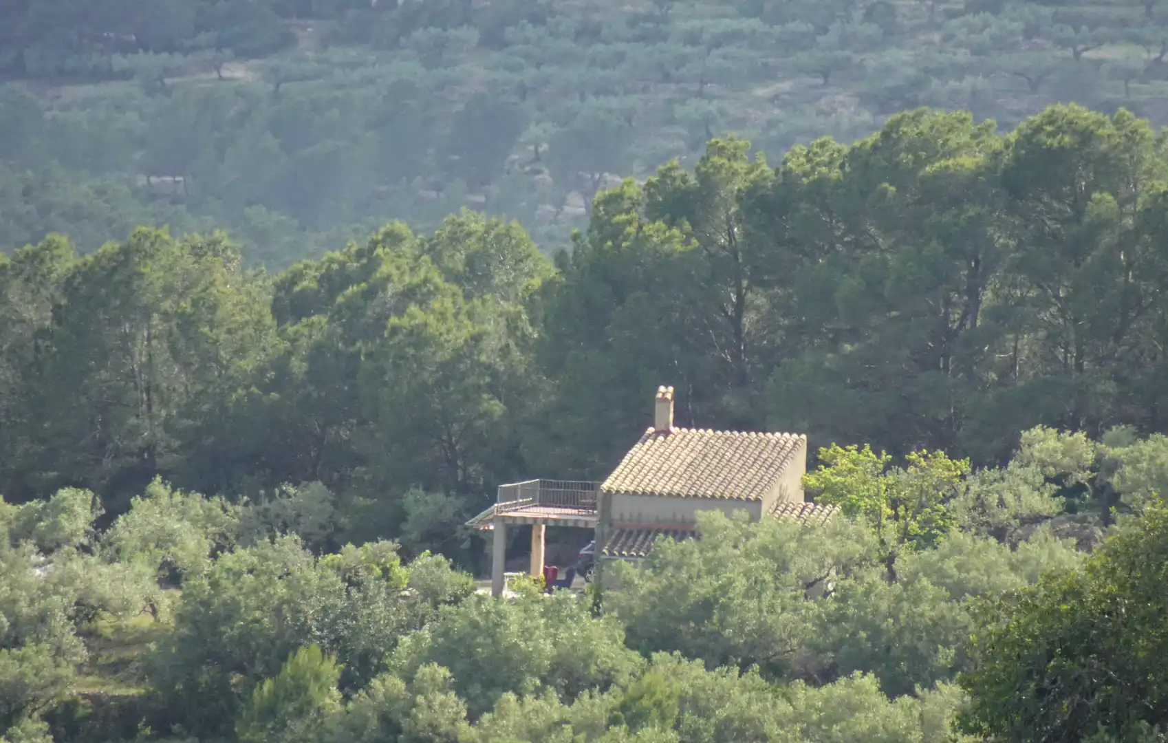 Jardín de Finca rústica en venta en El Perelló