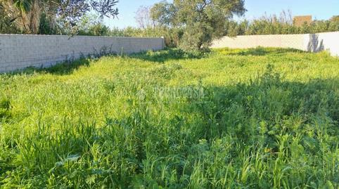 Foto 3 de Terreno en venta en La Soledad, Chiclana de la Frontera