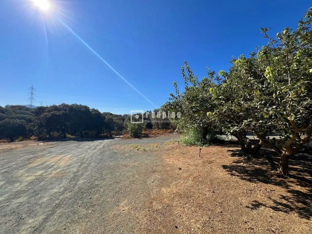 Casa o chalet en venta en Archidona con Calefacción, Jardín privado y Terraza