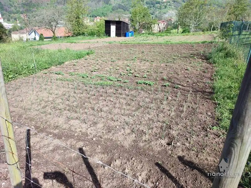 Wohnbaugrundstück zum Verkauf in Riaño - Los Barros, imagen 5