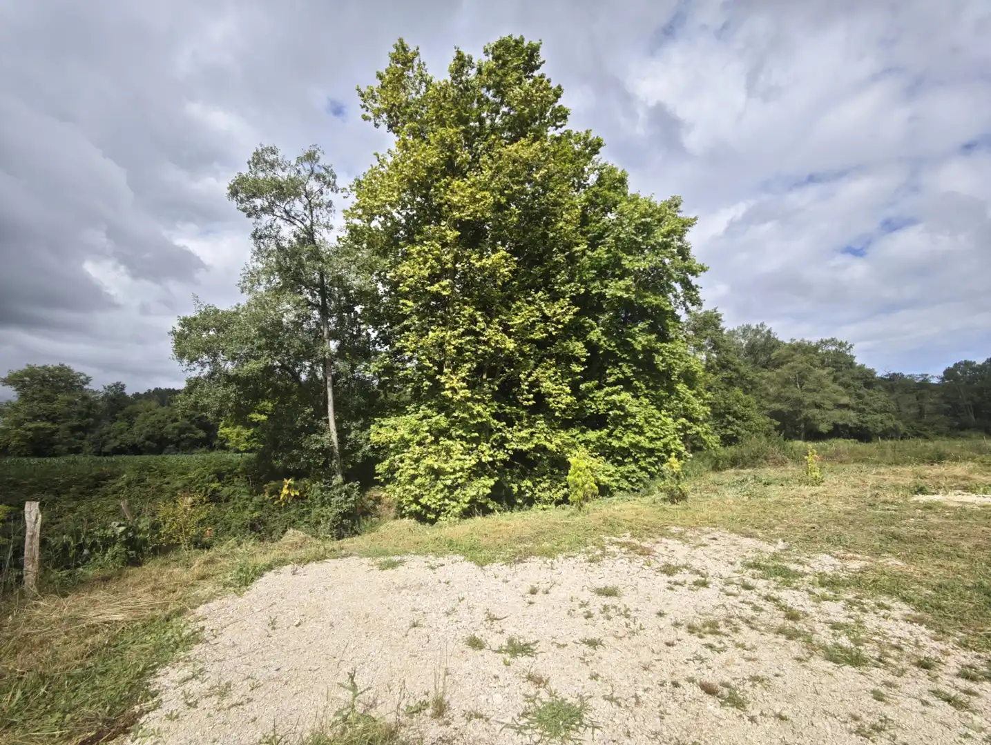 Grundstücke zum Verkauf in Piélagos