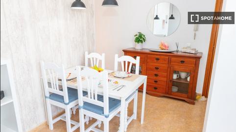 Photo 4 of Apartment to share in Barbate ciudad, Cádiz