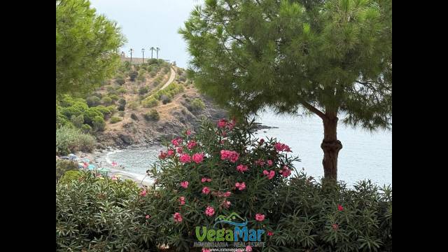 Piso en Alquiler en Mayor Zaragoza en Velilla - Velilla Taramay