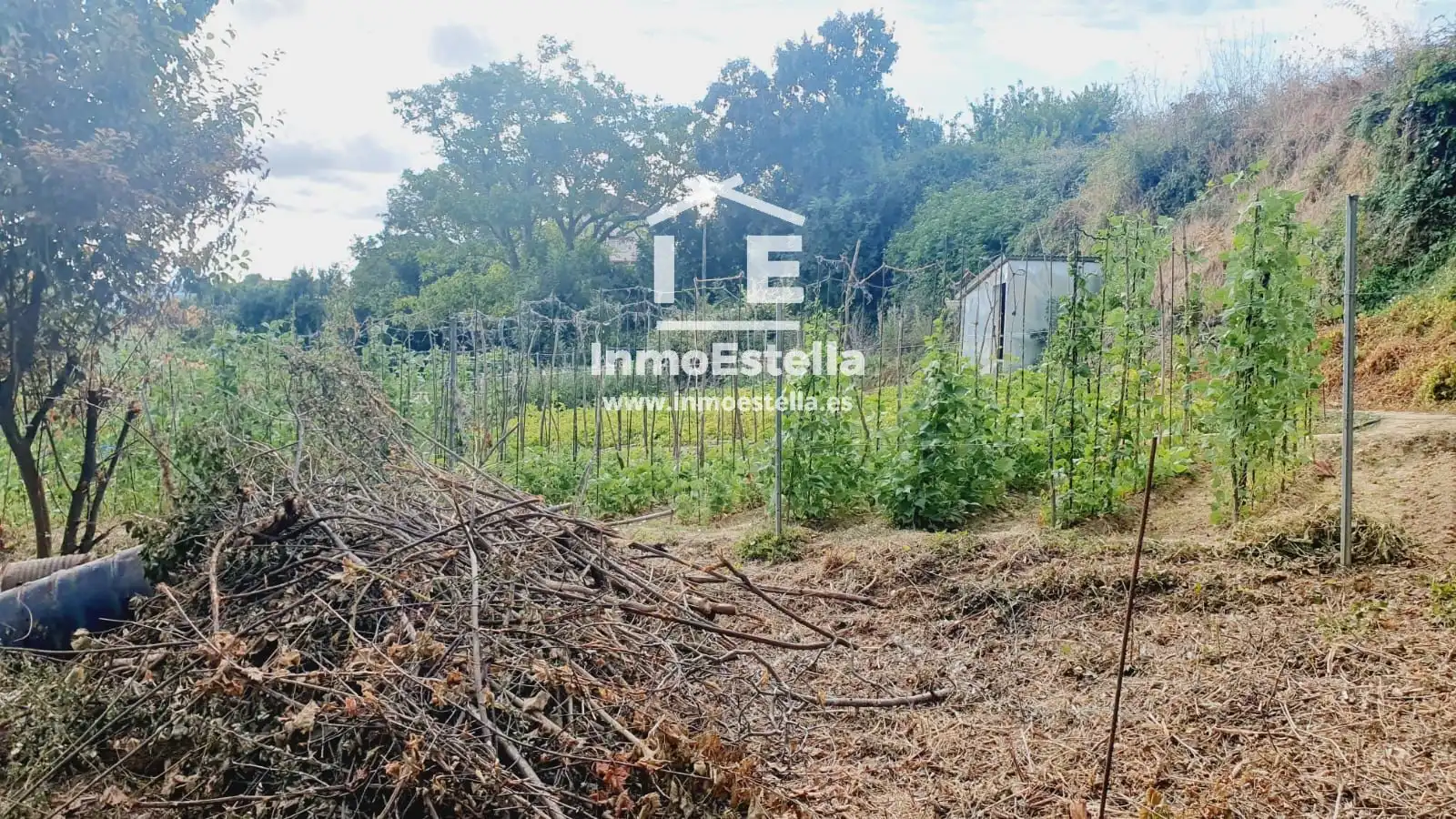 Rural land for sale in Zuloandia, imagen 3