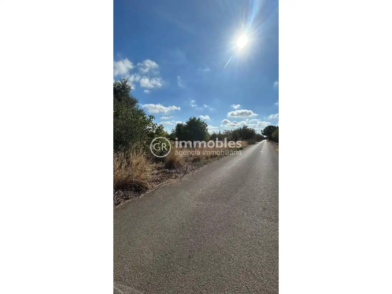 Terreno rustico in vendita a Poligono 14, imagen 14