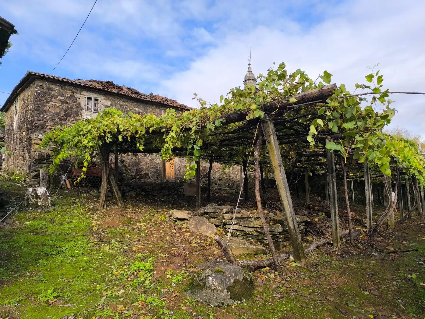 Jardín de Casa o chalet en venta en Santiago de Compostela  con Jardín privado