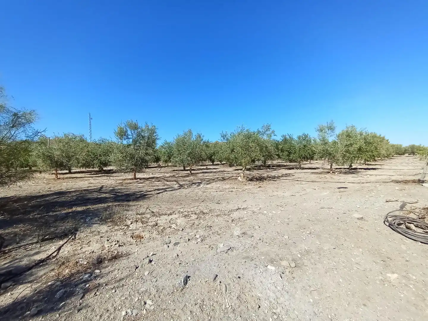 Terreni e lotti in vendita a Pedanías Sur, imagen 5