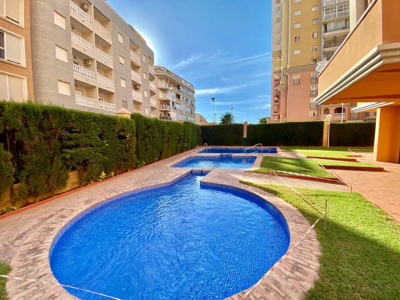 Swimming pool of Apartments for rent in Torrevieja  with Terrace, Swimming Pool and Furnished