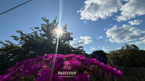 Foto 2 de Casa o xalet en venda a Santa Maria de Trassierra, Córdoba