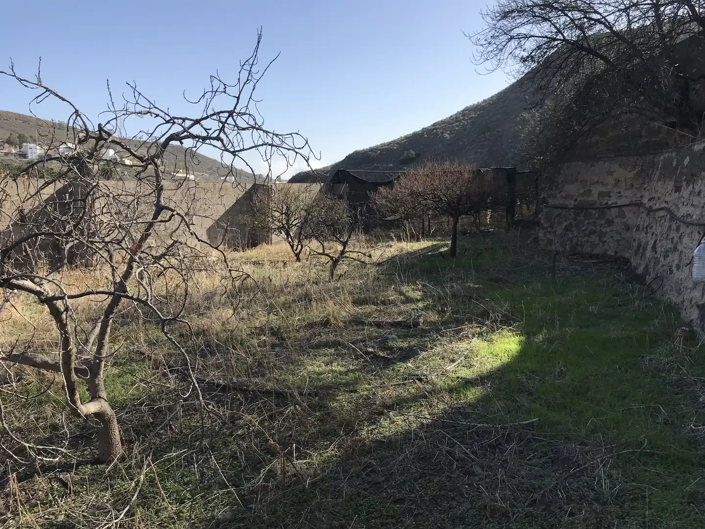 Country house zum Verkauf in Telde mit Privatgarten und Terrasse