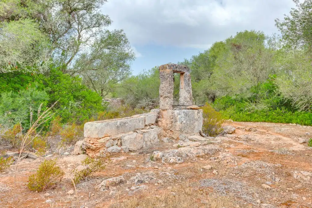 Casa rústica con piscina en venta en Llucmajor pueblo, imagen 22