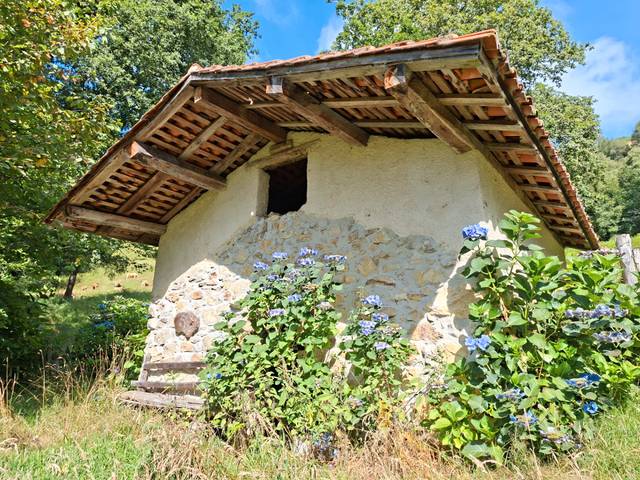 Finca rústica en Venta en Piloña