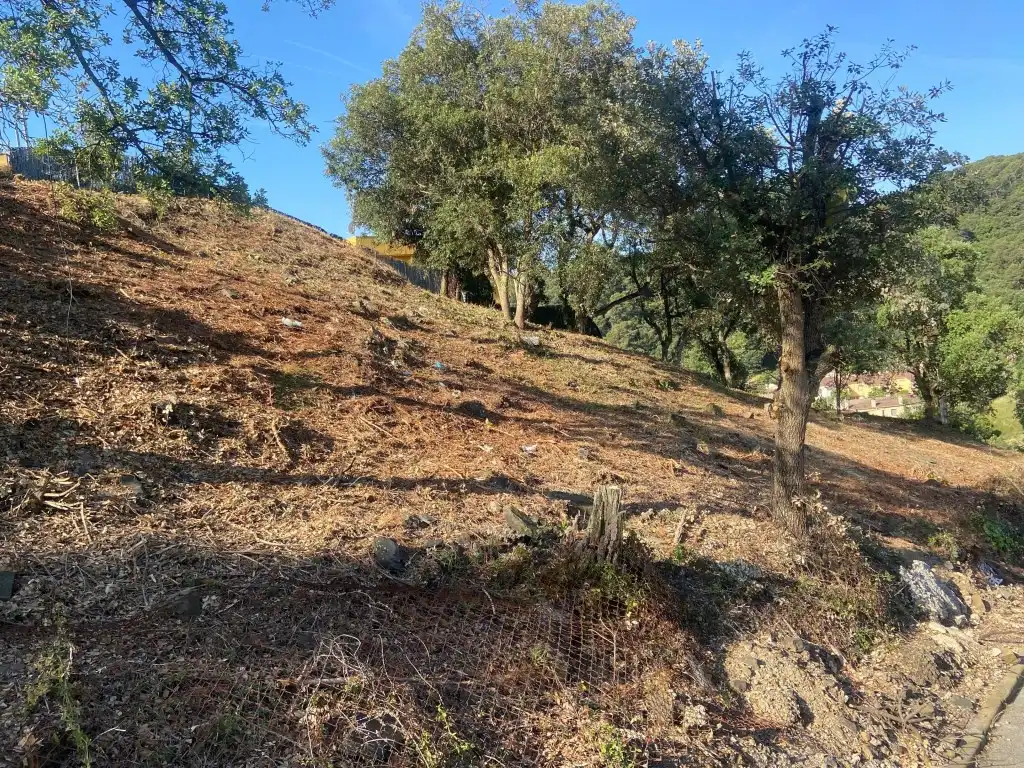 Residential land for sale in Calle Ginesta, imagen 5