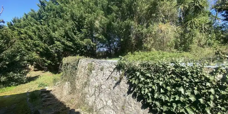 Casa o xalet en venda en Entrambasaguas amb Jardí privat, Terrassa i Traster