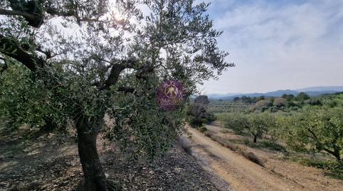 Photo 2 of Country house for sale in N/a, Mestral, Reus