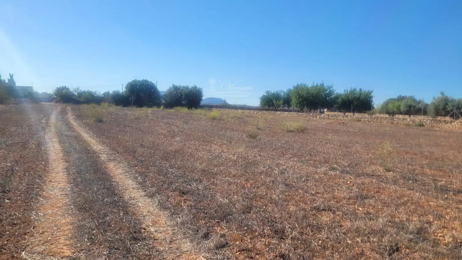 Terreno rustico in vendita a N/A
