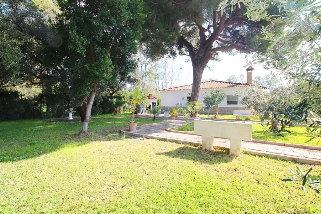Jardí de Casa o xalet en venda en Jerez de la Frontera amb Jardí privat, Terrassa i Traster
