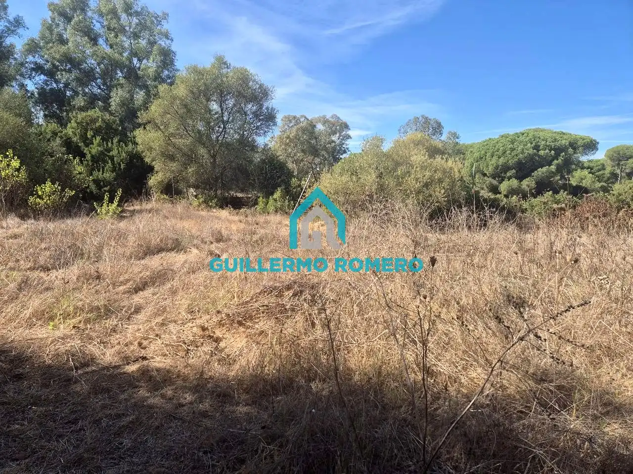 Finca rústica en venta en La Puebla del Río