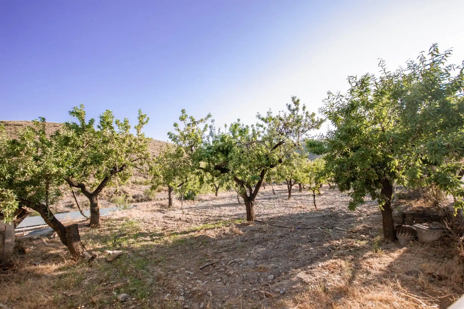Casa rústica con jardín en venta en Gérgal, imagen 50