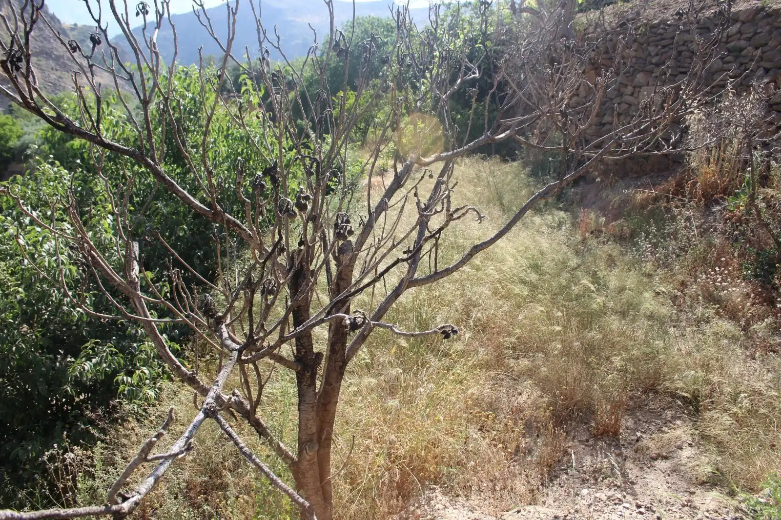 Grundstücke und Bauplätze zum Verkauf in Lanjarón, imagen 8
