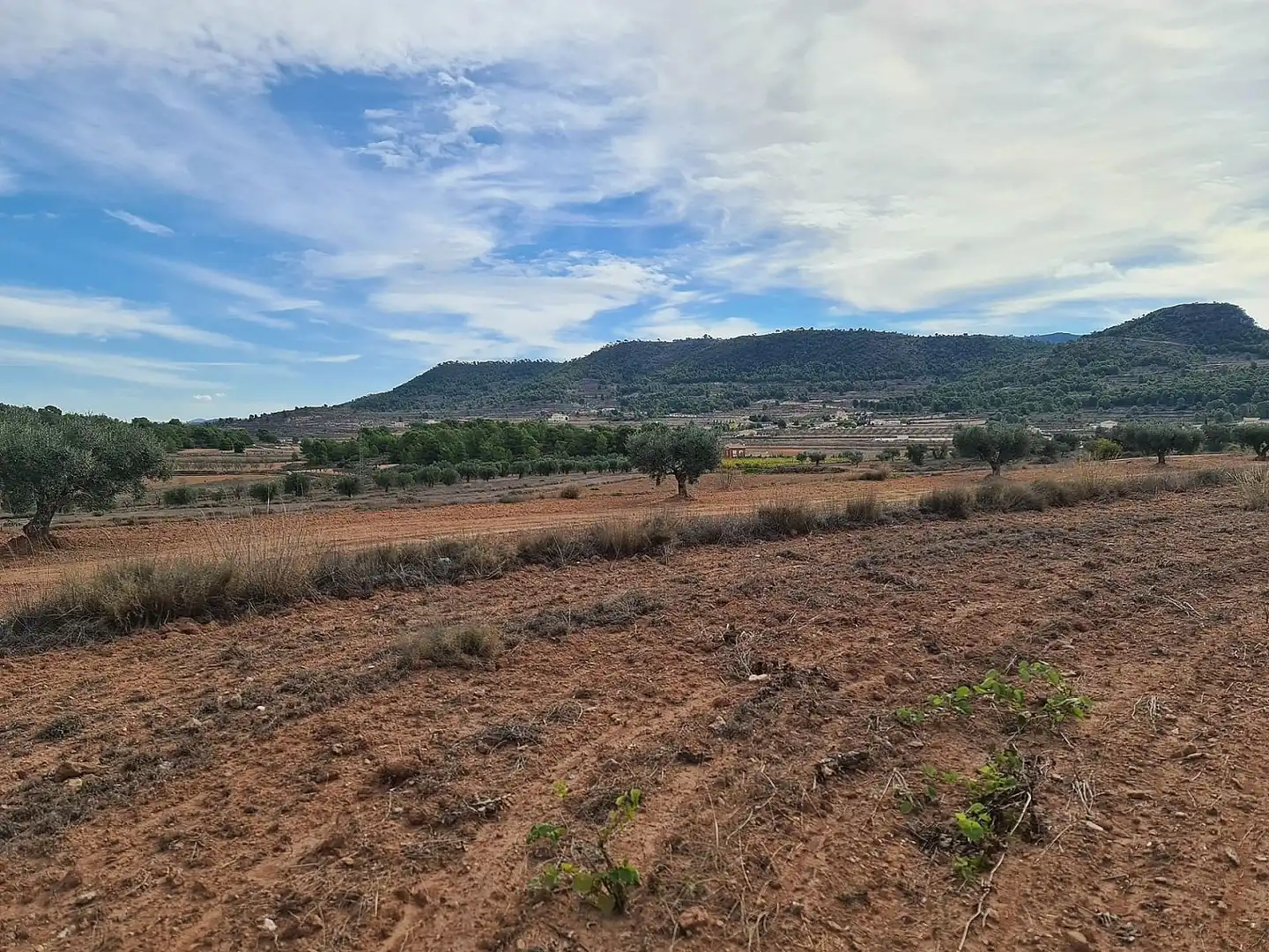 Terreny residencial en venda a El Pinós / Pinoso, imagen 4