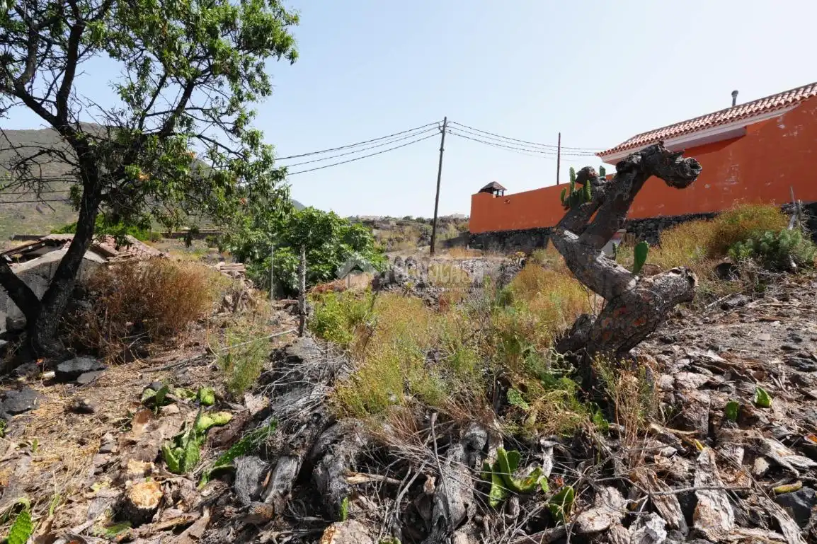 Finca rústica en venda en Santiago del Teide