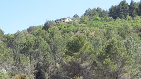 Foto 2 de Finca rústica en venda a N/a, -1, Tàrbena, Alicante