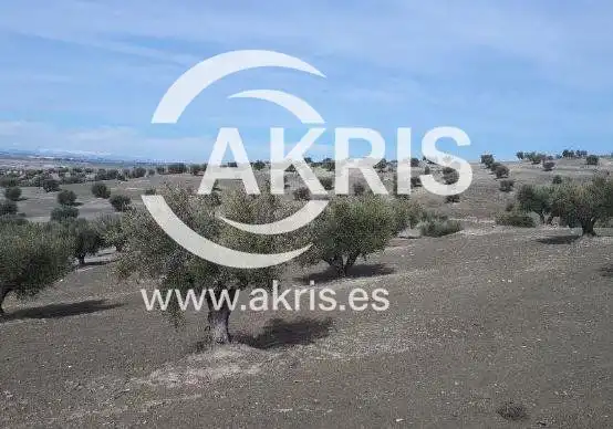Terreny rústic en venda a CERRO CLAMOR
