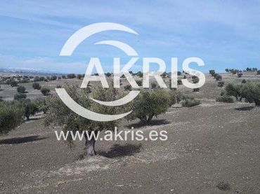 Rural land for sale in CERRO CLAMOR