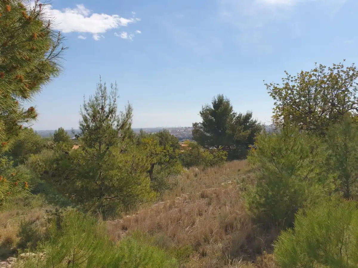Finca rústica en venda en Castellón de la Plana / Castelló de la Plana
