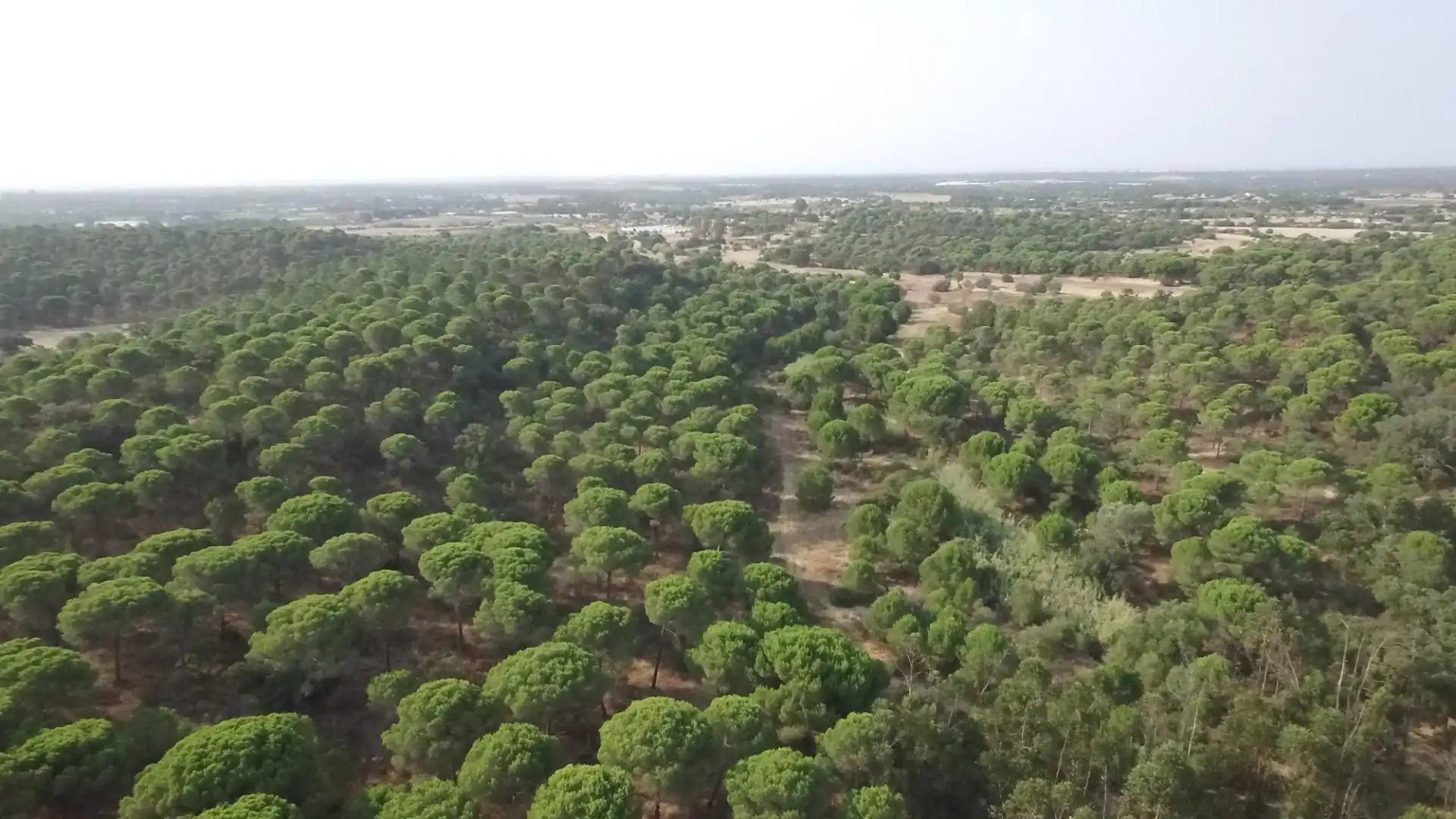 Terreno en venta en Villablanca