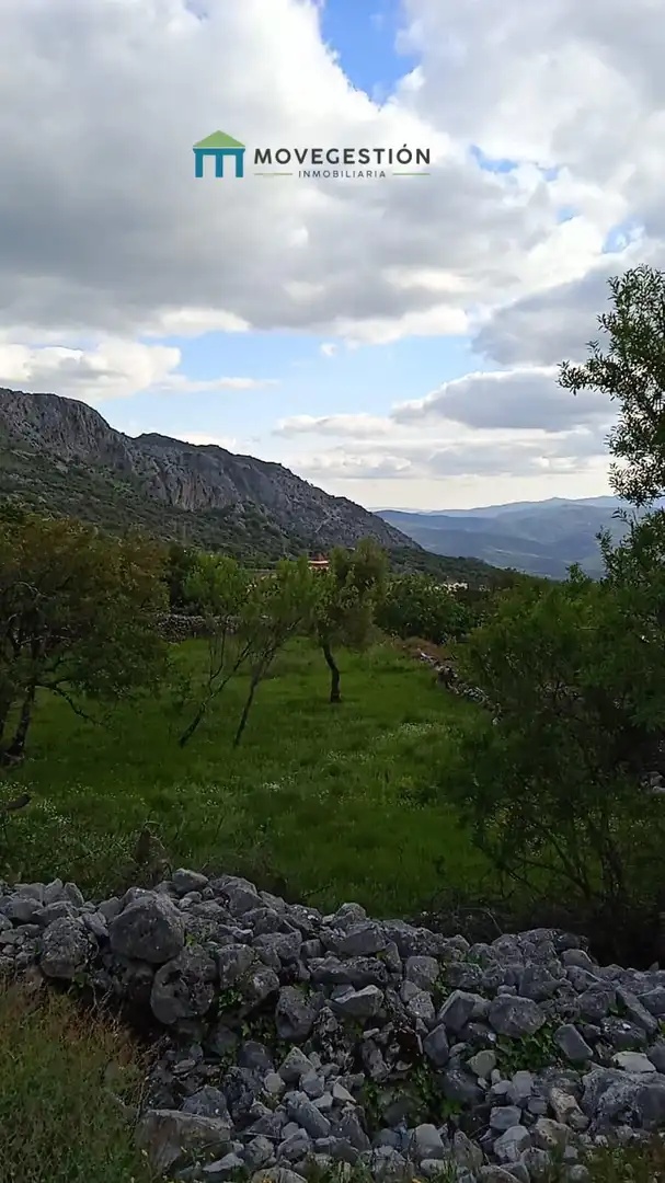 Terrain rustique à vendre à Benaocaz, imagen 3