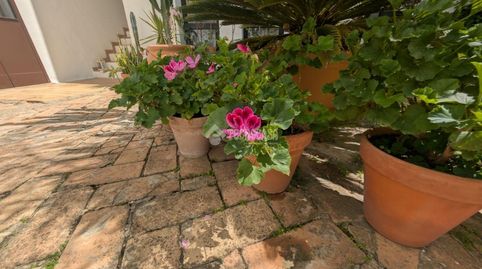 Foto 2 de Casa adosada en venta en Vejer, Vejer de la Frontera