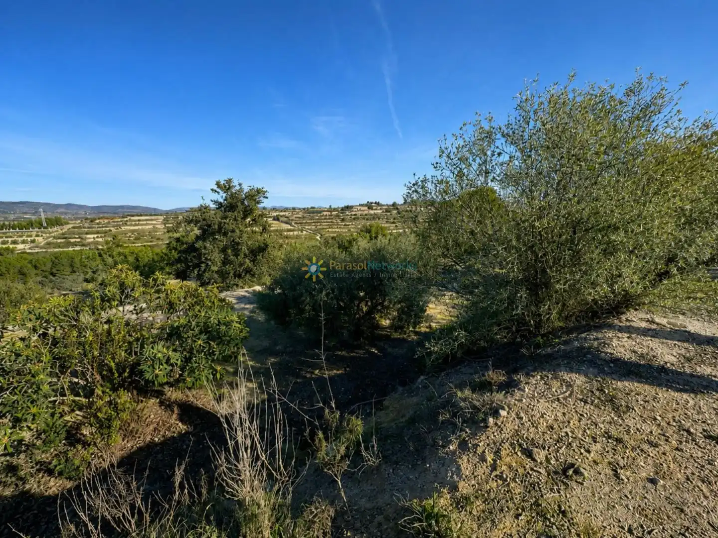 Finca rústica en venda en El Palomar amb Jardí privat, Terrassa i Traster