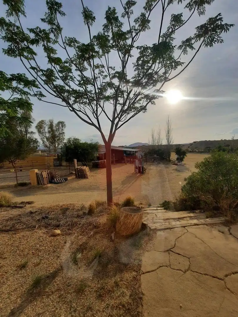 Garden of Country homes for rent in Huércal-Overa