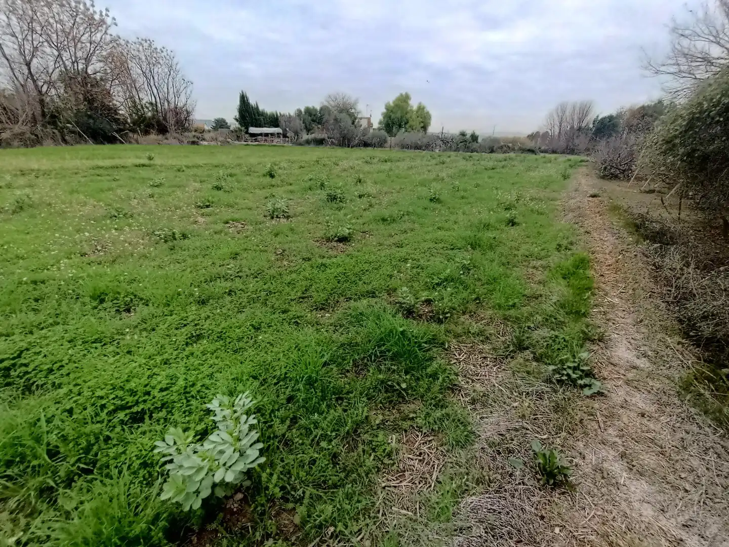 Terreny residencial en venda a Alguazas, imagen 4