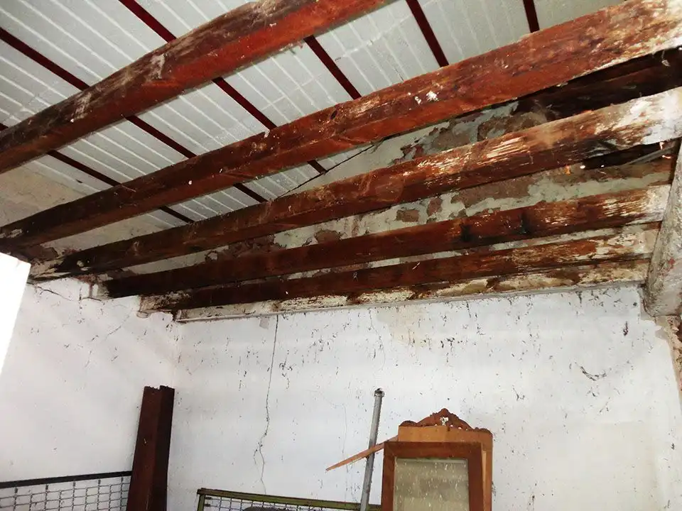 Casa o xalet en venda en Jaramillo Quemado amb Jardí privat
