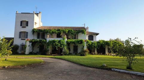 Foto 4 de Finca rústica en venda a El Dossel - Mareny de San Lorenzo, Cullera