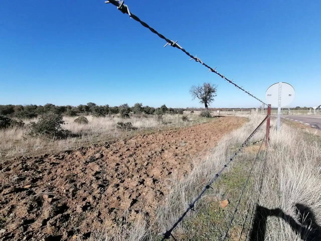 Terreny rústic en venda a Serradilla del Arroyo, imagen 19