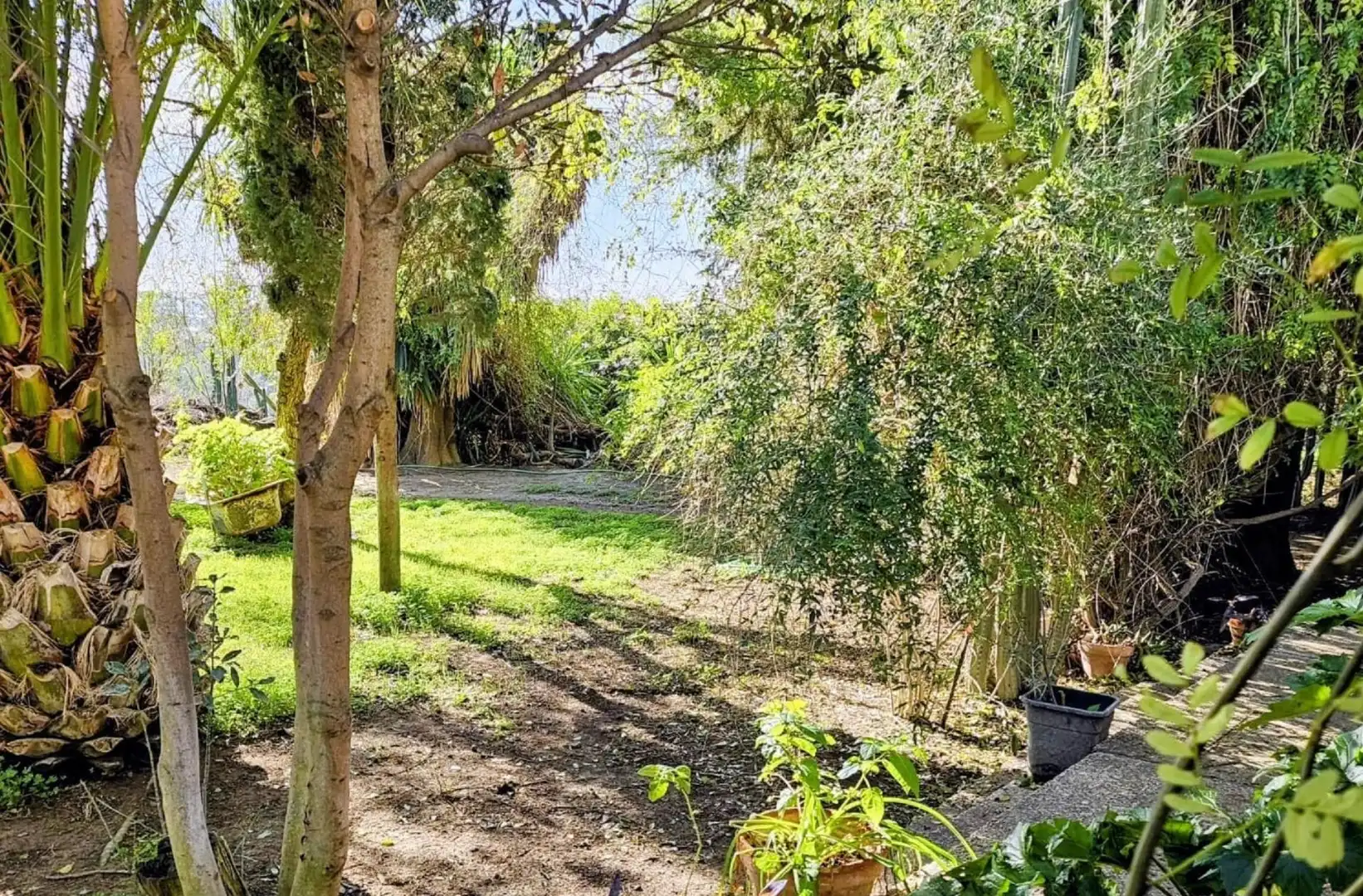 Houses for sale in Jerez de la Frontera  with Private garden