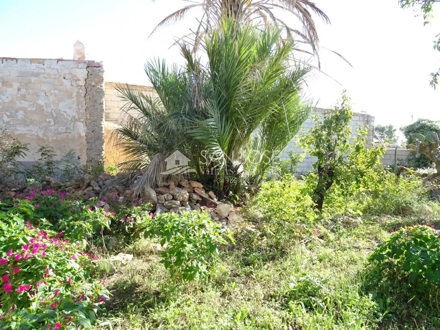 Casa rústica con jardín en venta en Hondón de las Nieves / El Fondó de les Neus, imagen 22