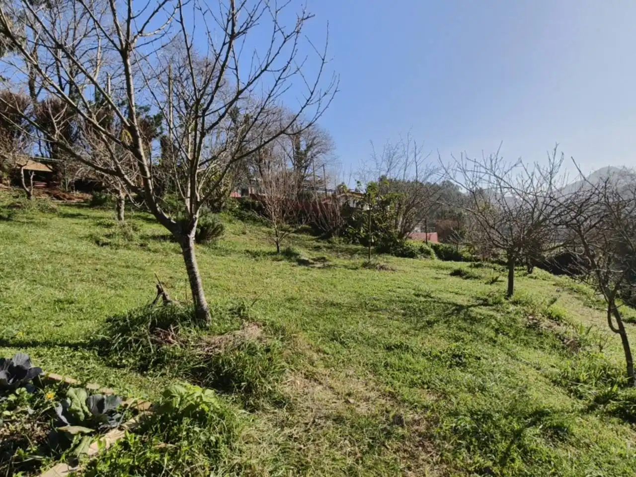 Casa o xalet en venda en Muskiz amb Jardí privat i Terrassa