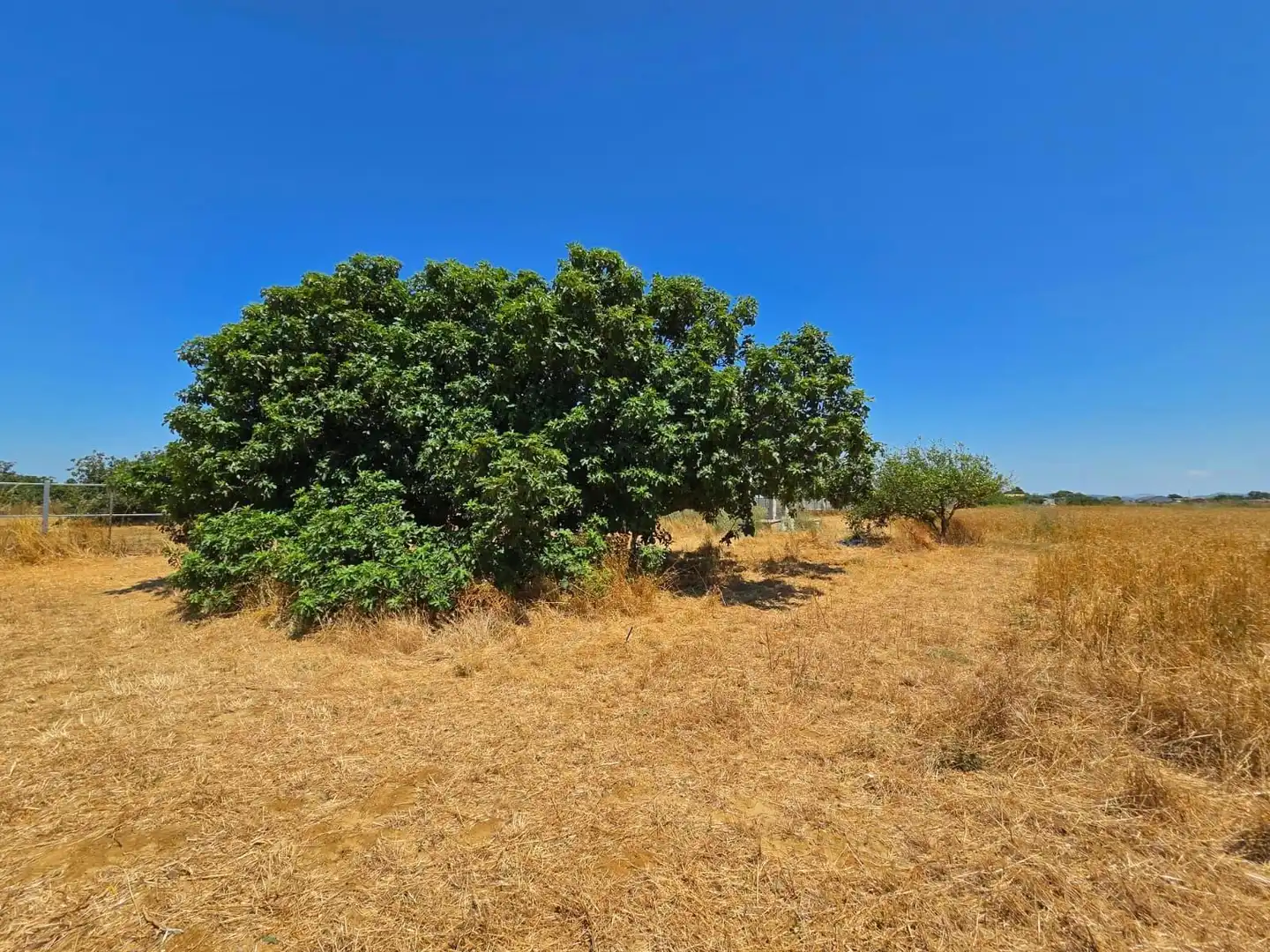 Terreno residenziale in vendita a Pelagatos - Pago del Humo, imagen 23