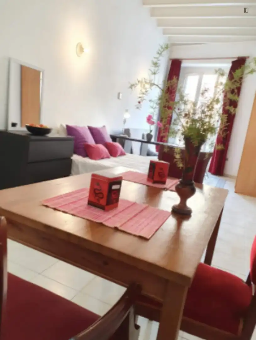 Studio zur Miete in Ciutat Vella, imagen 4