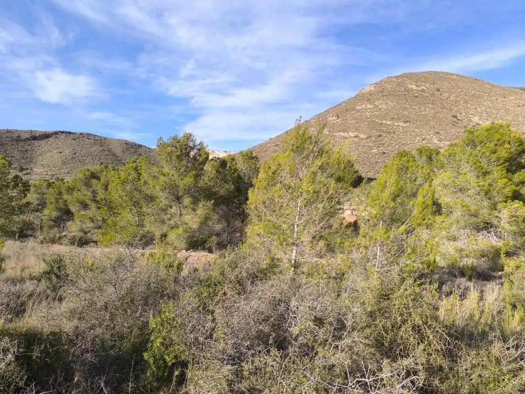 Rural land for sale in Poligono 4, parcela 190, imagen 6