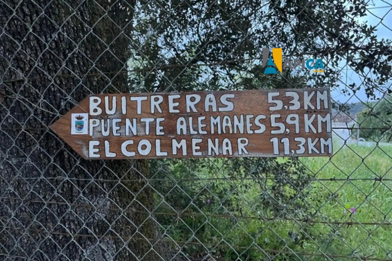 Vista exterior de Casa o chalet en venta en Benalauría con Trastero